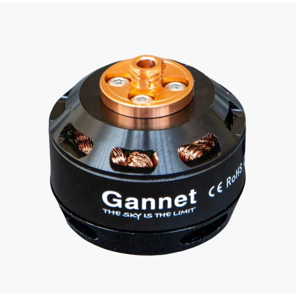 Gannet Pro Motor CCW