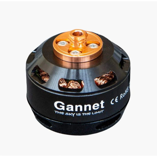Gannet Pro Motor CW